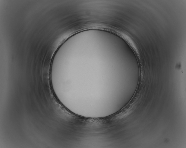 X0000091070954200708271213