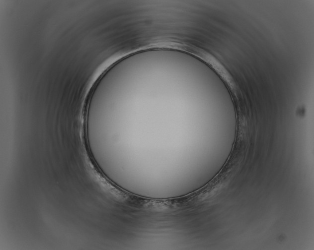 X0000091070955200708271213