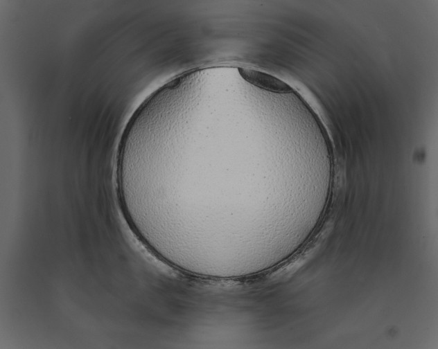 X0000091070957200708271213