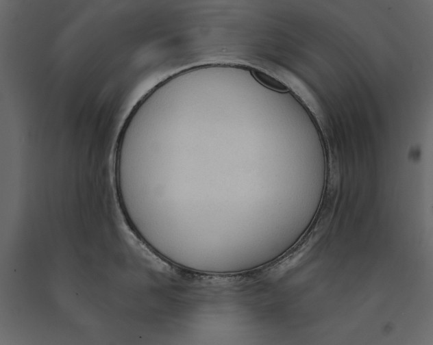 X0000091070958200708271213