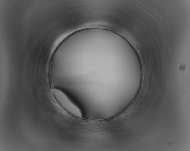 X0000091070960200708271213