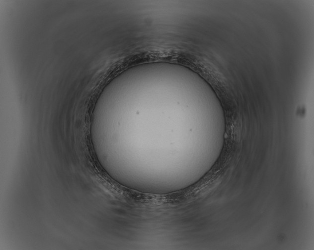 X0000091070961200708271213