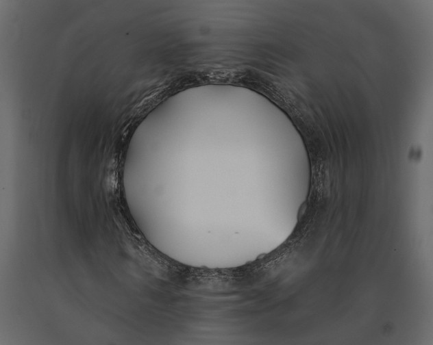 X0000091070962200708271213