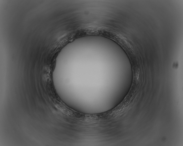 X0000091070964200708271213