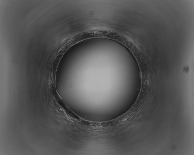 X0000091070965200708271213