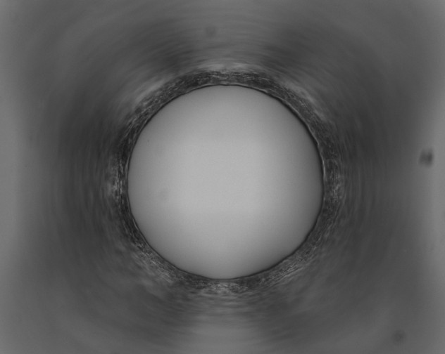 X0000091070966200708271213