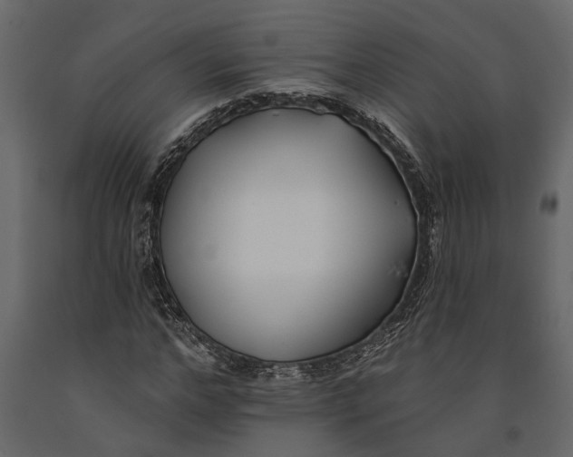 X0000091070968200708271213