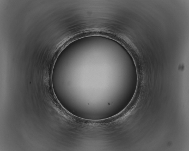 X0000091070969200708271213