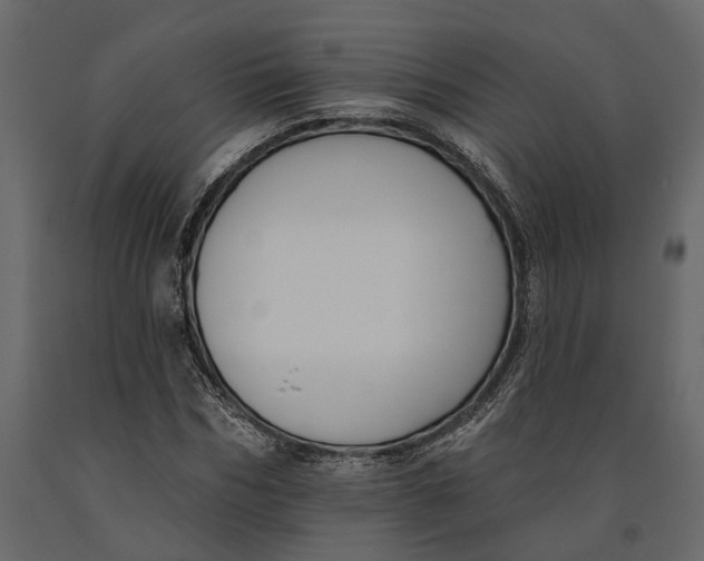 X0000091070970200708271213