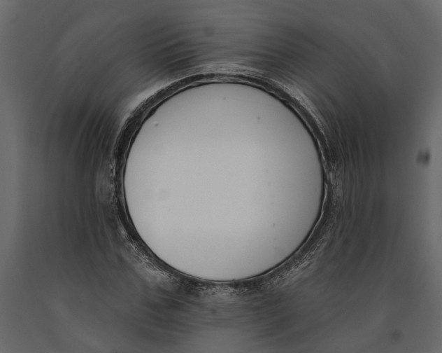 X0000091070971200708271213