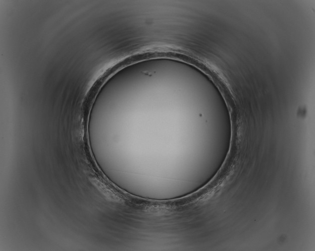 X0000091070973200708271213