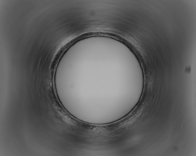 X0000091070974200708271213