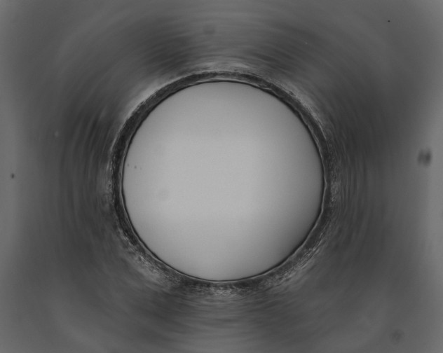 X0000091070975200708271213