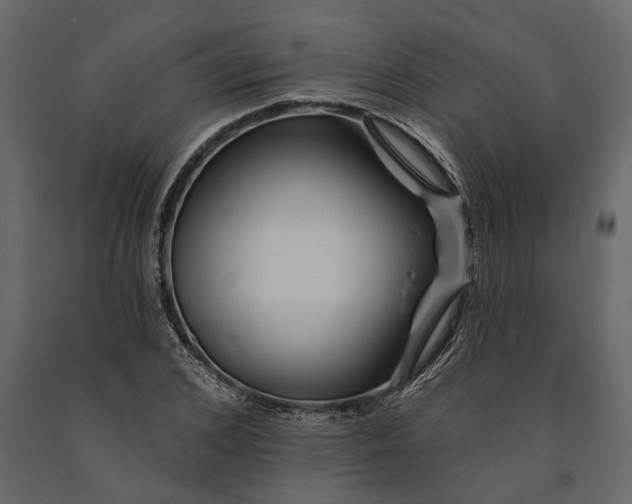 X0000091070976200708271213