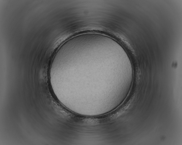 X0000091070977200708271213