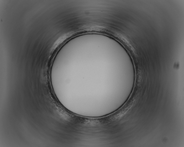 X0000091070978200708271213