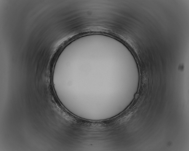 X0000091070979200708271213