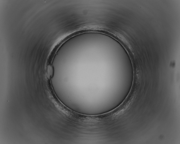 X0000091070981200708271213