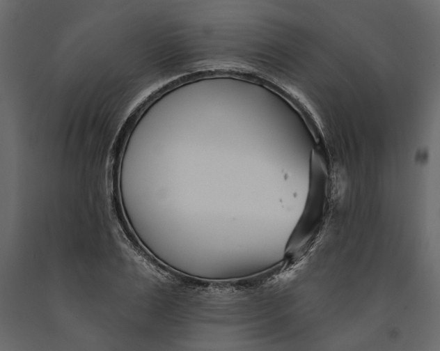 X0000091070983200708271213