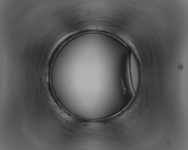 X0000091070984200708271213