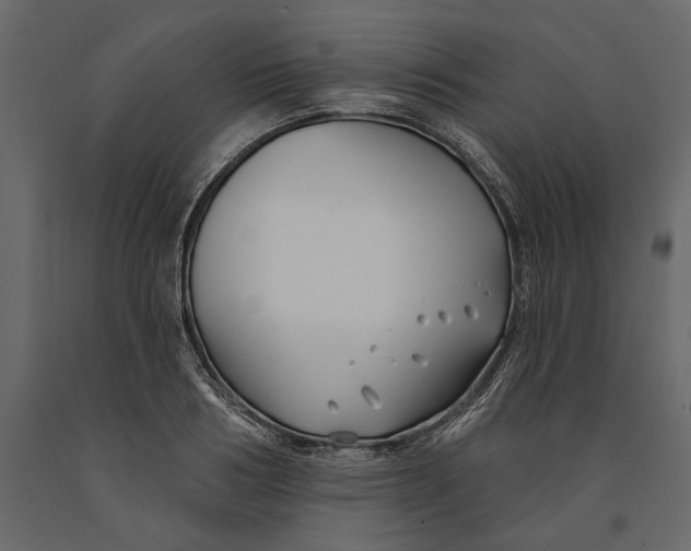 X0000091070986200708271213