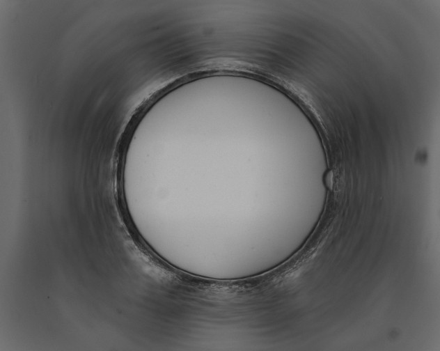 X0000091070987200708271212