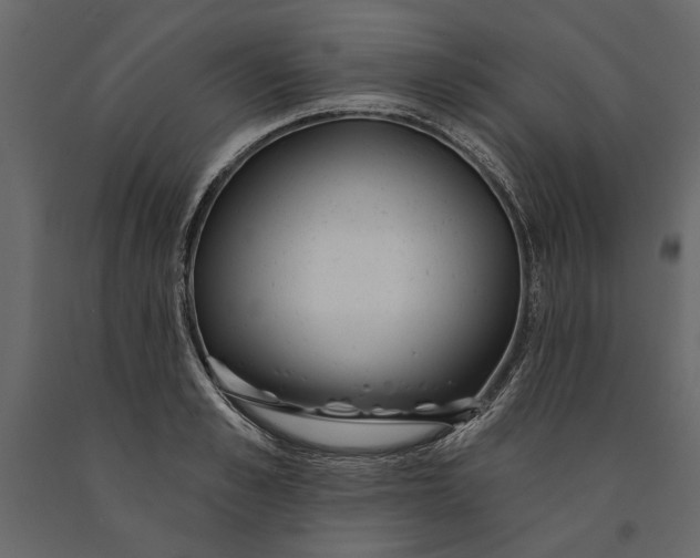 X0000091070989200708271212