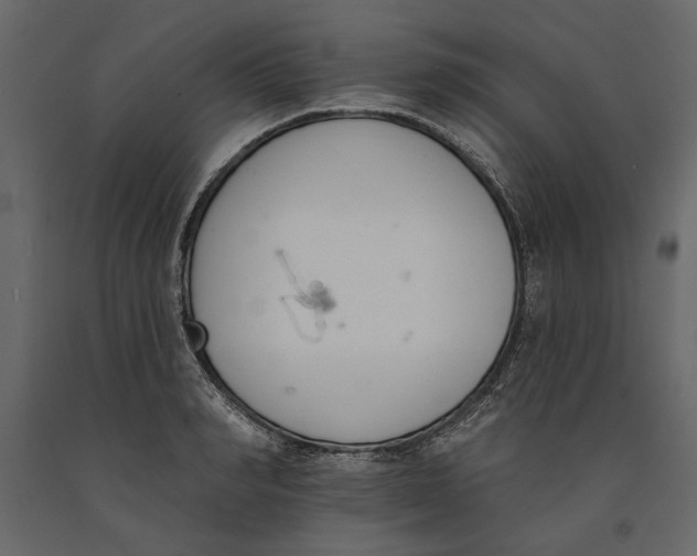 X0000091070990200708271212