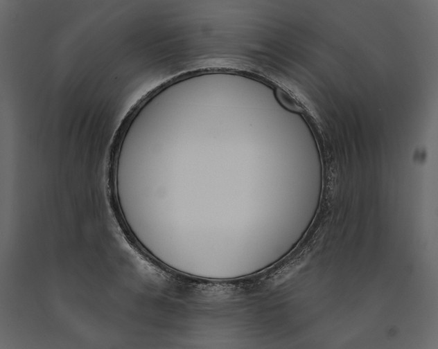 X0000091070991200708271212