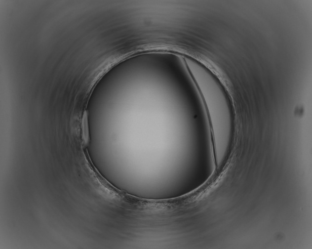 X0000091070993200708271212