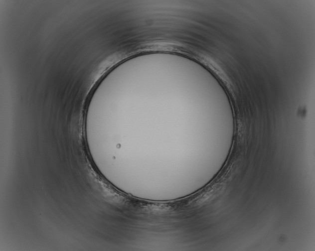 X0000091070994200708271212