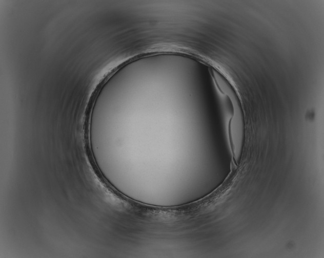 X0000091070995200708271212