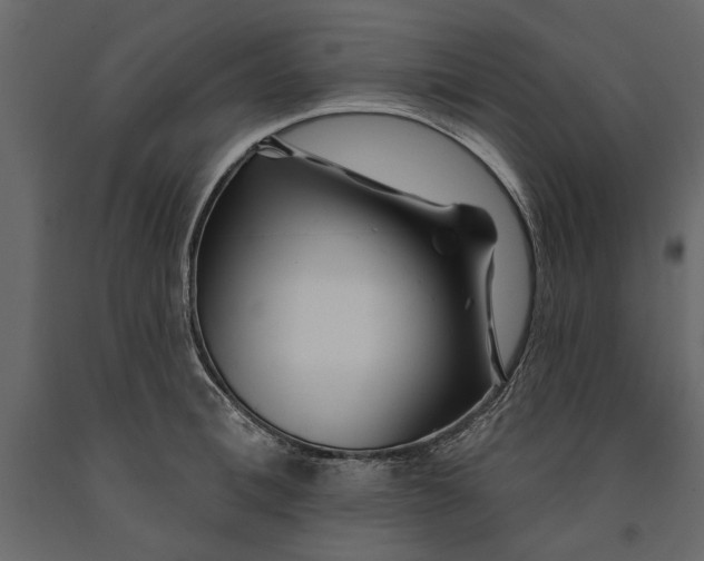 X0000091070996200708271212