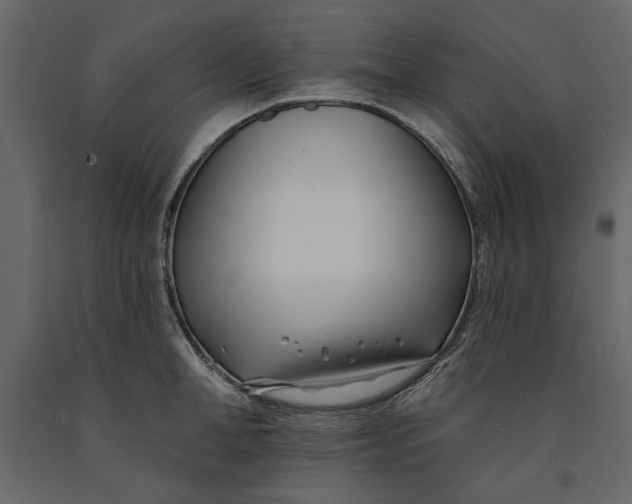 X0000091070998200708271212