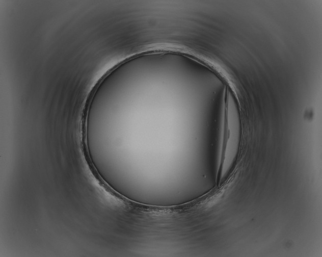 X0000091070999200708271212