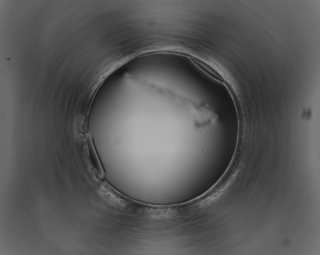 X0000091071001200708271212