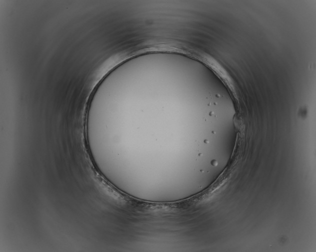 X0000091071002200708271212