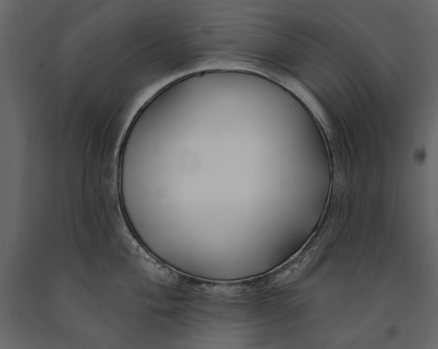 X0000091071004200708271212