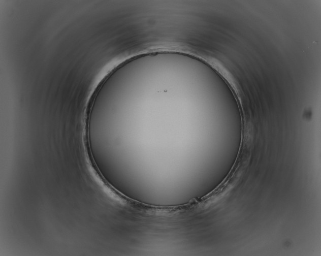 X0000091071005200708271212