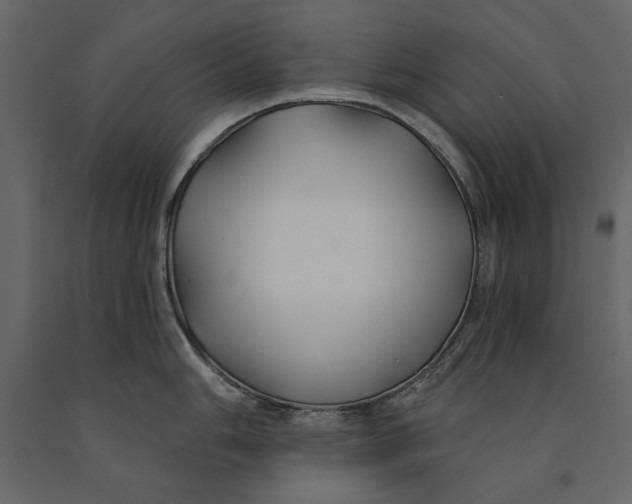 X0000091071006200708271212