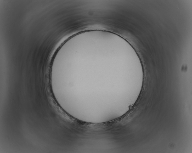 X0000091071008200708271212