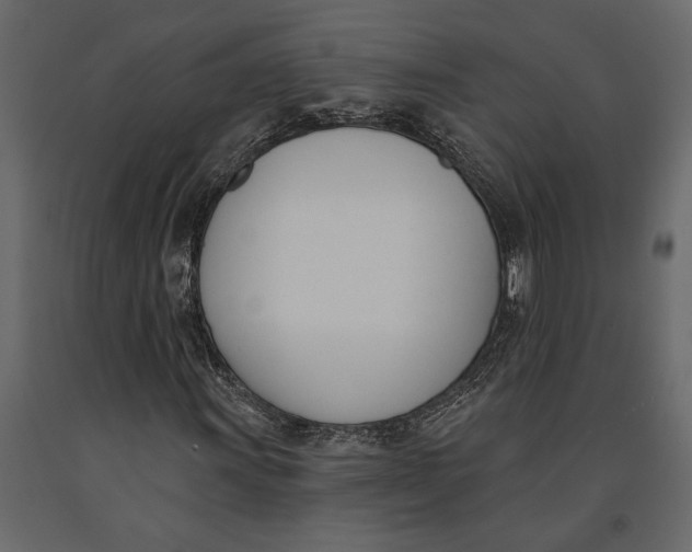 X0000091071011200708271211