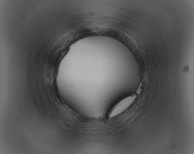 X0000091071012200708271211