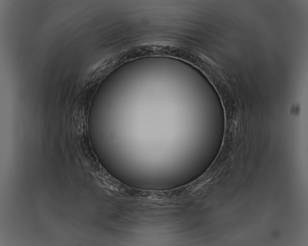 X0000091071014200708271212