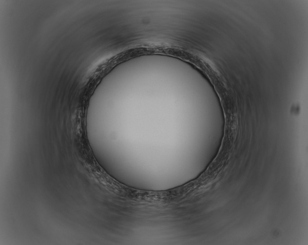 X0000091071016200708271212