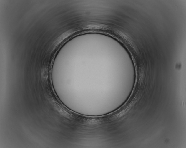 X0000091071017200708271212