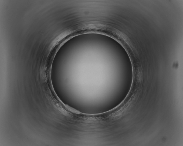 X0000091071018200708271212