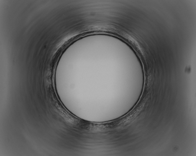 X0000091071019200708271212