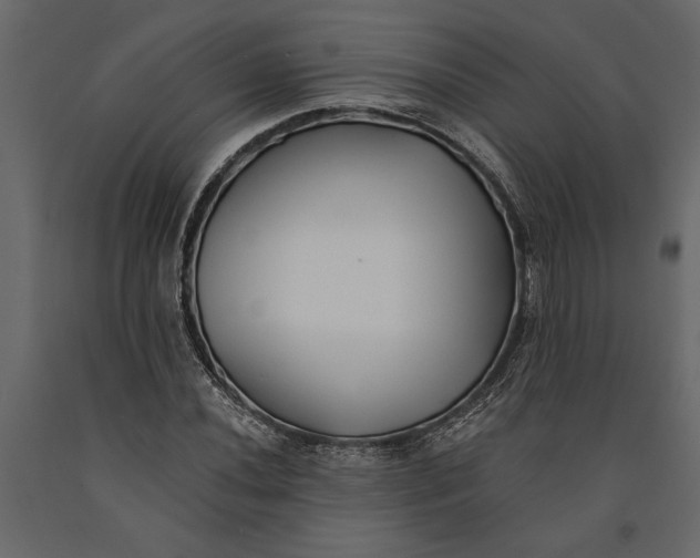 X0000091071020200708271212