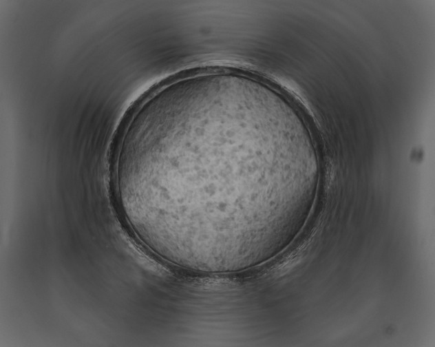 X0000091071024200708271212